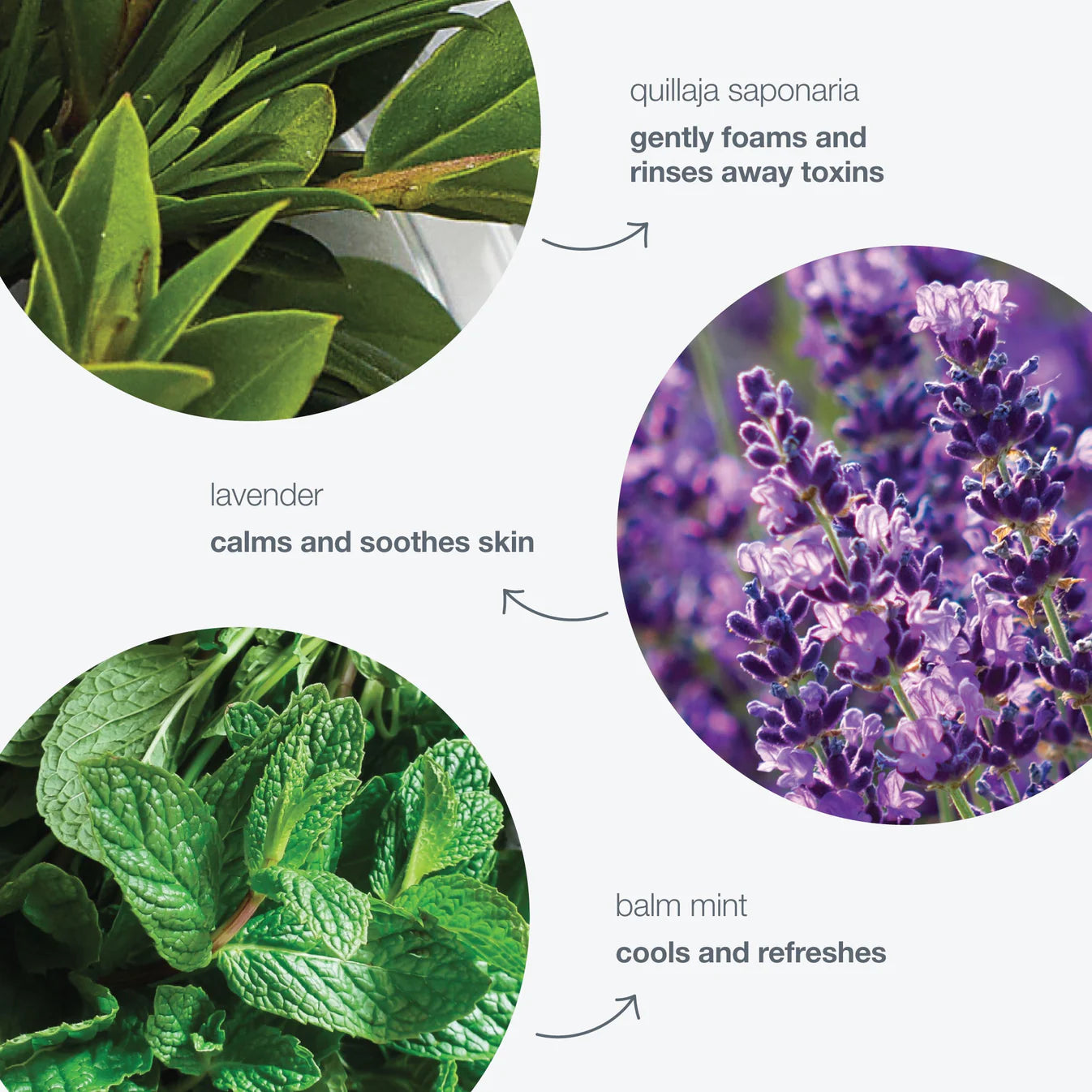 Special Cleansing Gel - Sylph Beauty