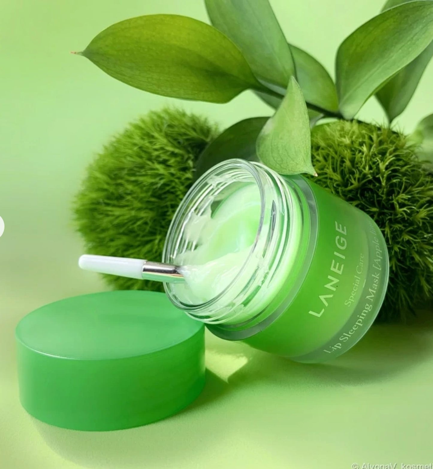 Lip Sleeping Mask - Apple Lime - Sylph Beauty